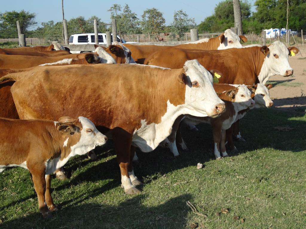 Las Curiosas Avia Terai Ngoại thất bức ảnh