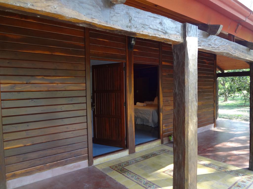 Las Curiosas Avia Terai Phòng bức ảnh